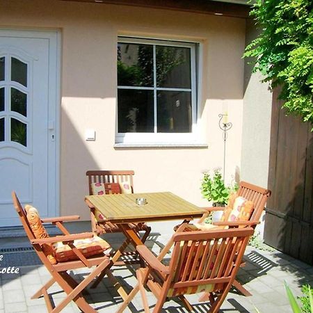 Ferienwohnungen _ Haus Lisa_ Senftenberg Kültér fotó