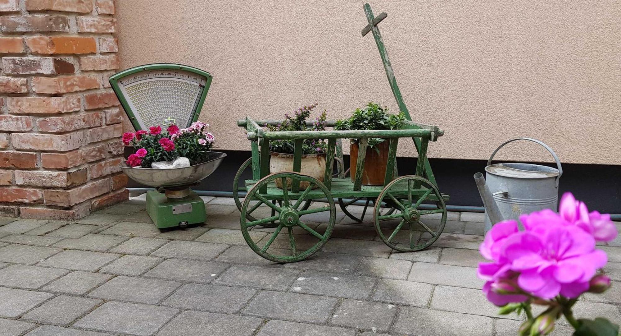 Ferienwohnungen _ Haus Lisa_ Senftenberg Kültér fotó