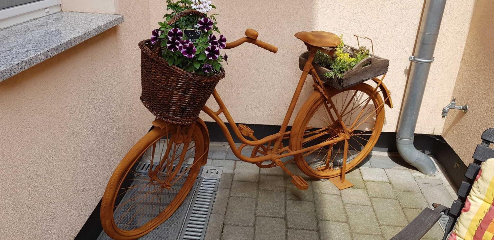 Ferienwohnungen _ Haus Lisa_ Senftenberg Kültér fotó