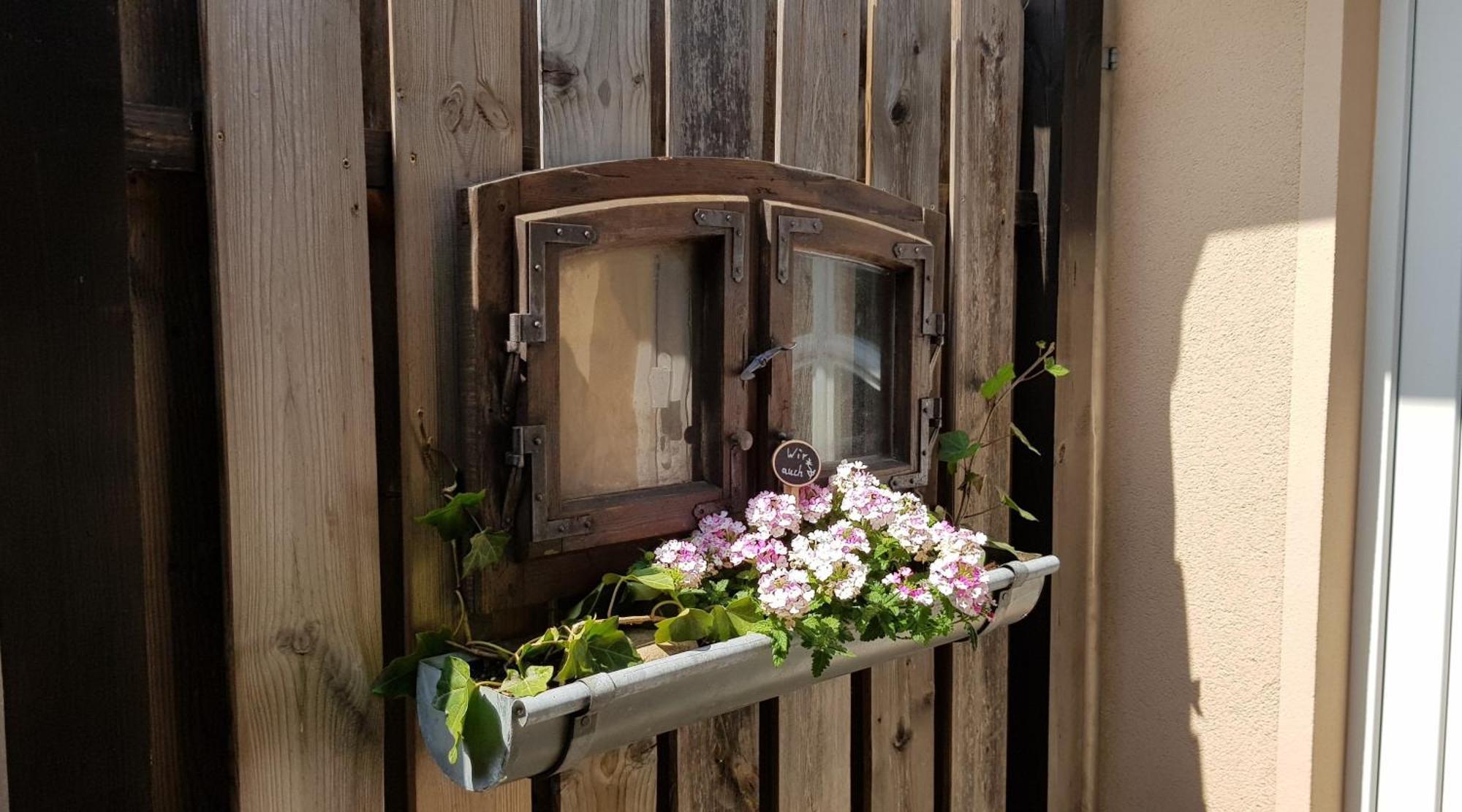 Ferienwohnungen _ Haus Lisa_ Senftenberg Kültér fotó